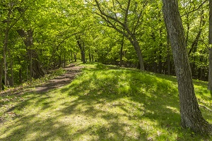 Burial mound